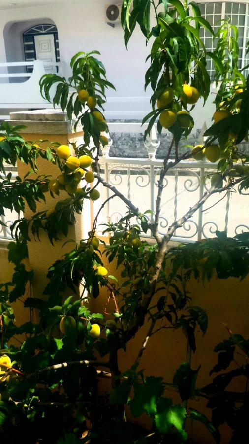 Вилла Casa Em Palmela - Setubal Экстерьер фото